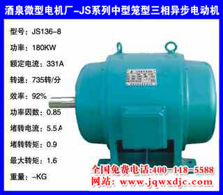 180KW �˼� JSϵ���������������첽�綯�� JS136-8